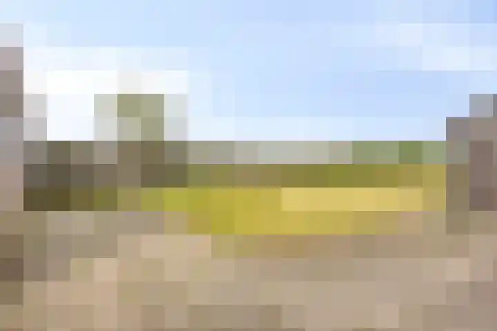 Luinbeekweg 6 Vortum-Mullem thumbnail 19