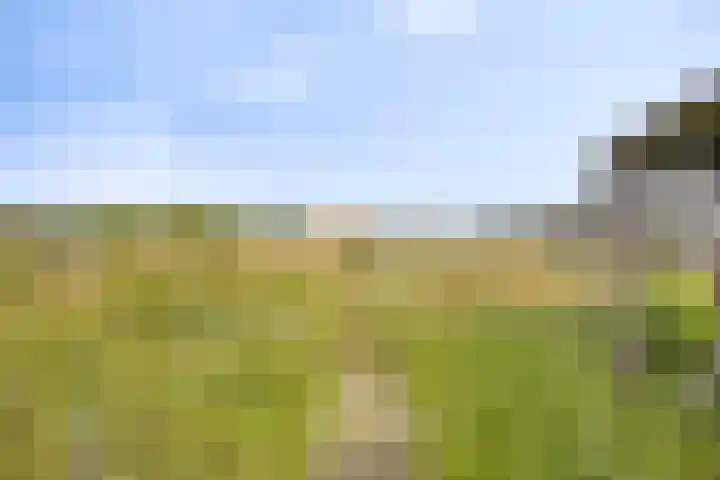 Luinbeekweg 6 Vortum-Mullem thumbnail 21