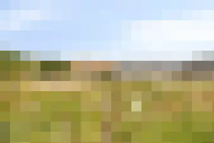 Luinbeekweg 6 Vortum-Mullem thumbnail 22