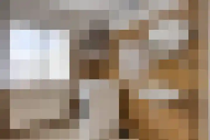 Luinbeekweg 6 Vortum-Mullem thumbnail 26