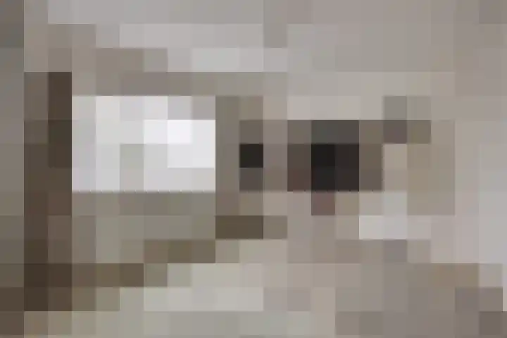 Luinbeekweg 6 Vortum-Mullem thumbnail 29