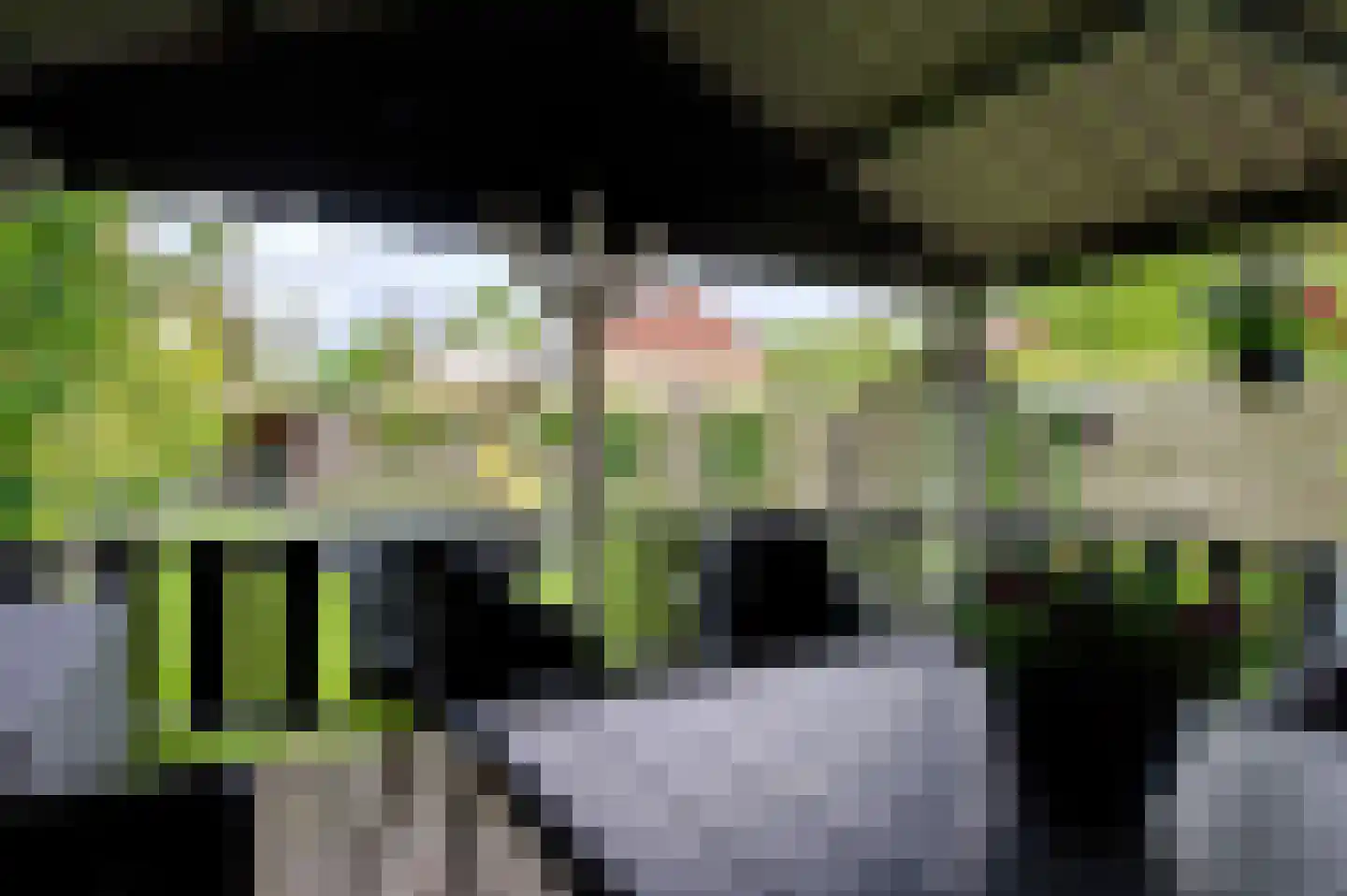Luingaweg 17 Bierum thumbnail 33
