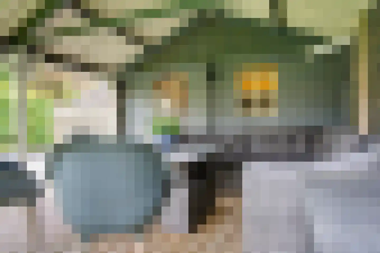 Luingaweg 17 Bierum thumbnail 34