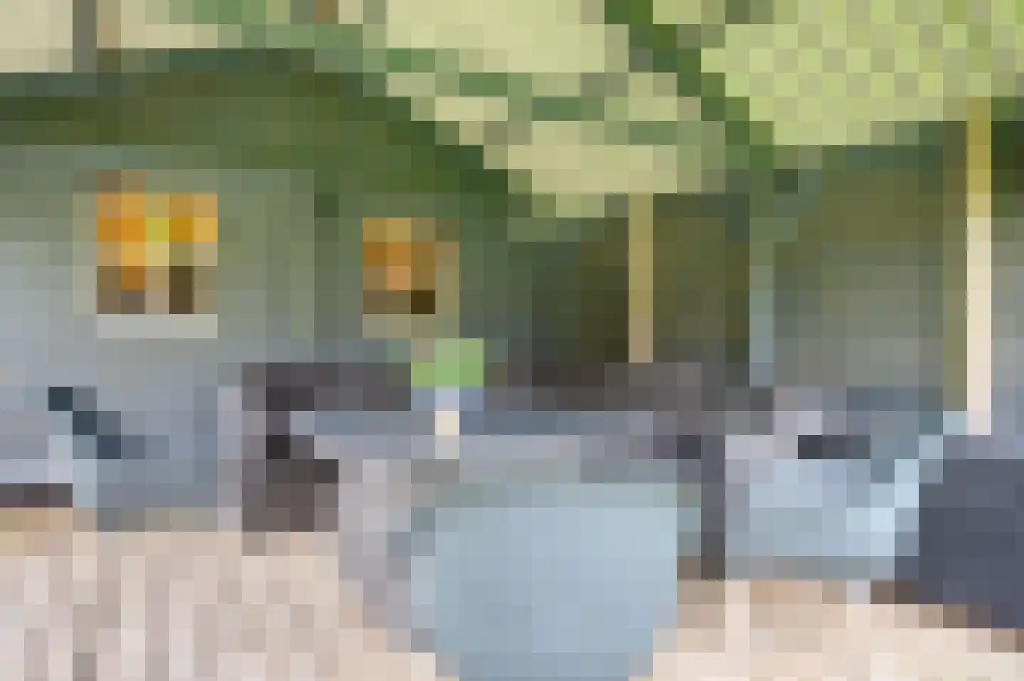 Luingaweg 17 Bierum thumbnail 35