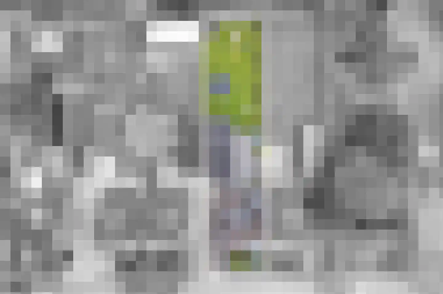 Luingaweg 17 Bierum thumbnail 37