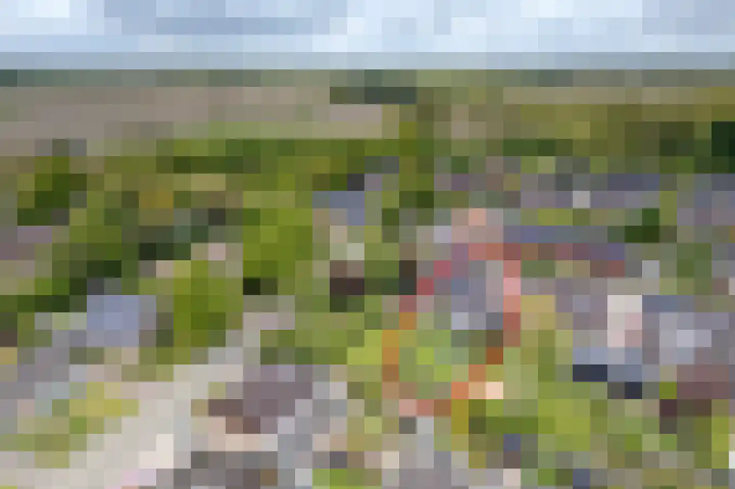 Luingaweg 17 Bierum thumbnail 39