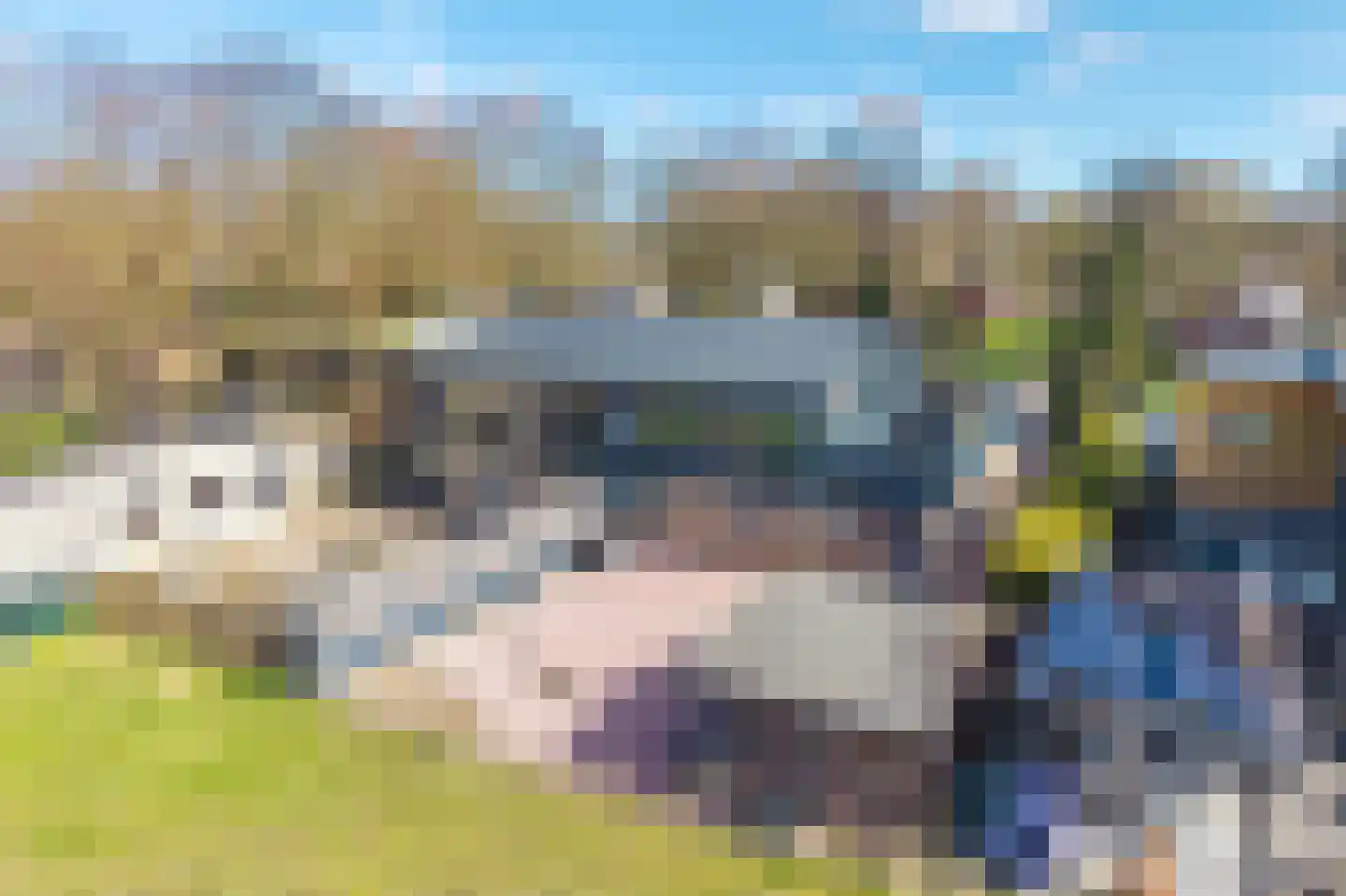 Luingaweg 28 Bierum thumbnail 50