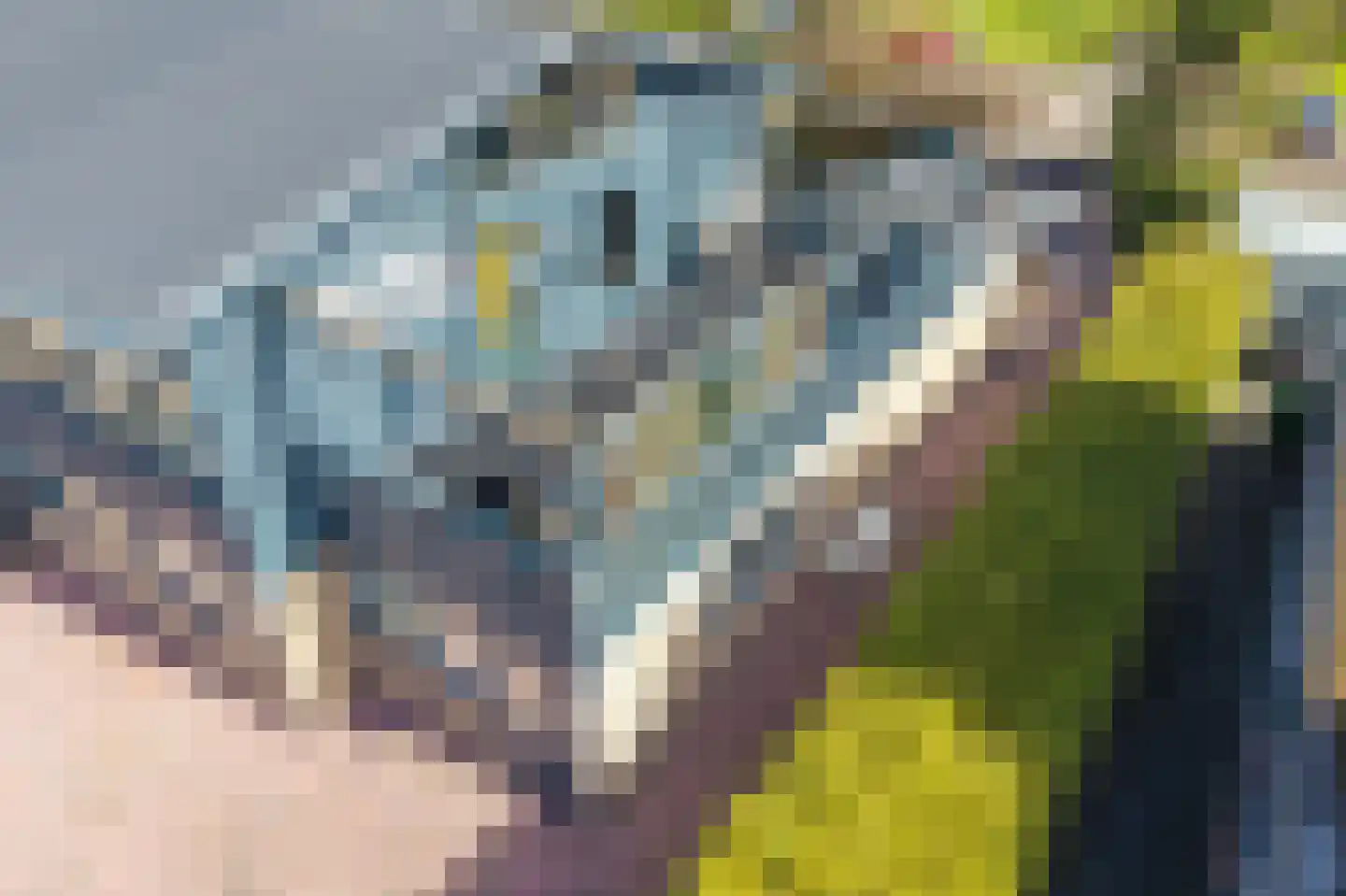 Luingaweg 28 Bierum thumbnail 52