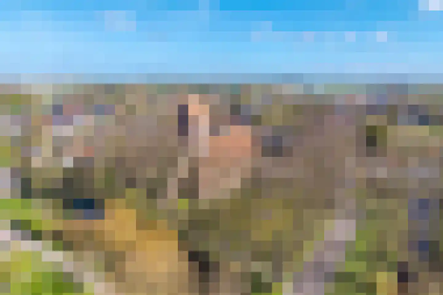 Luingaweg 28 Bierum thumbnail 55