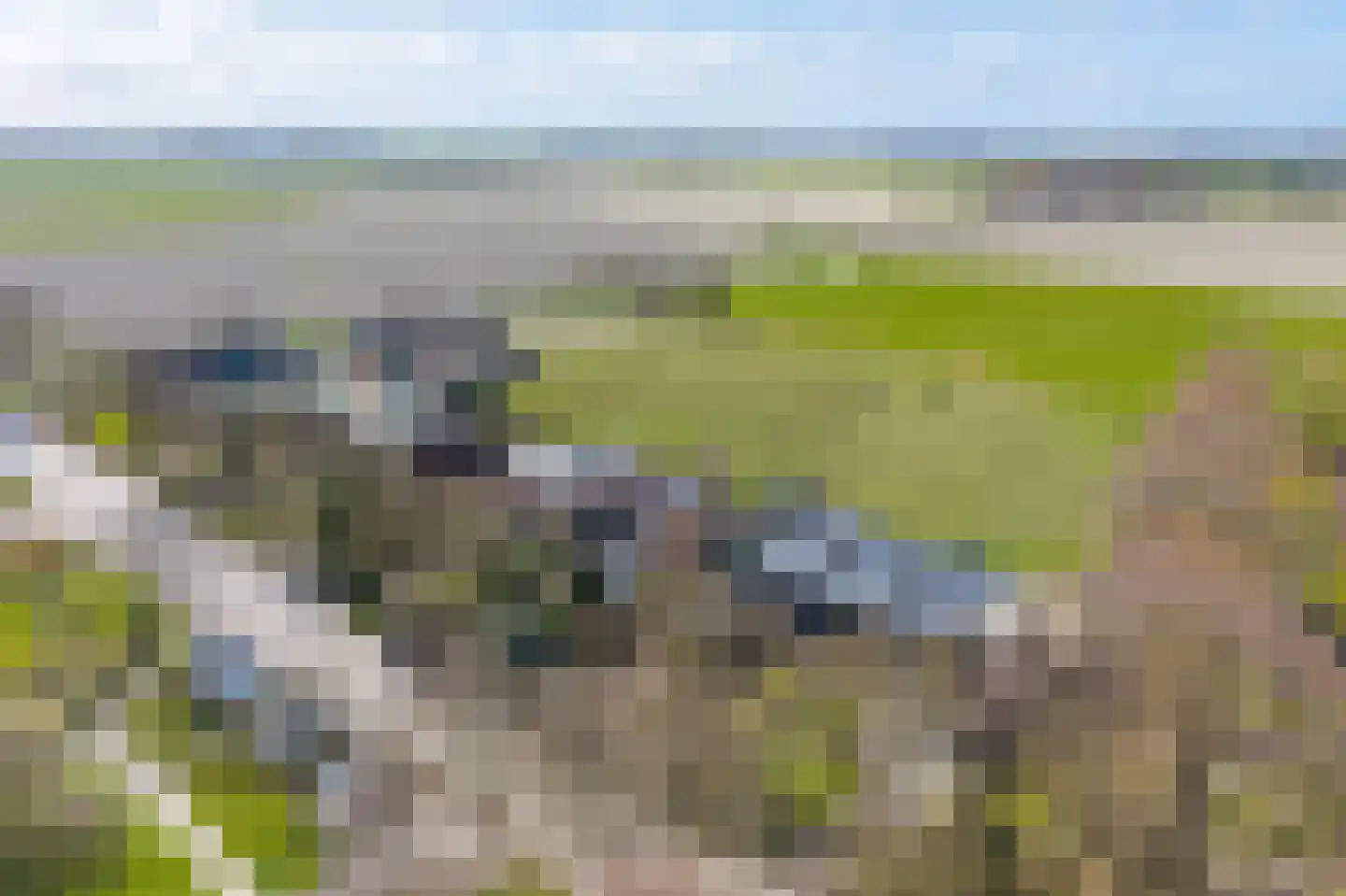 Luingaweg 28 Bierum thumbnail 57