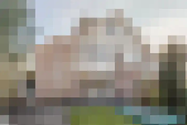 Luipaard 7 Heerhugowaard thumbnail 15