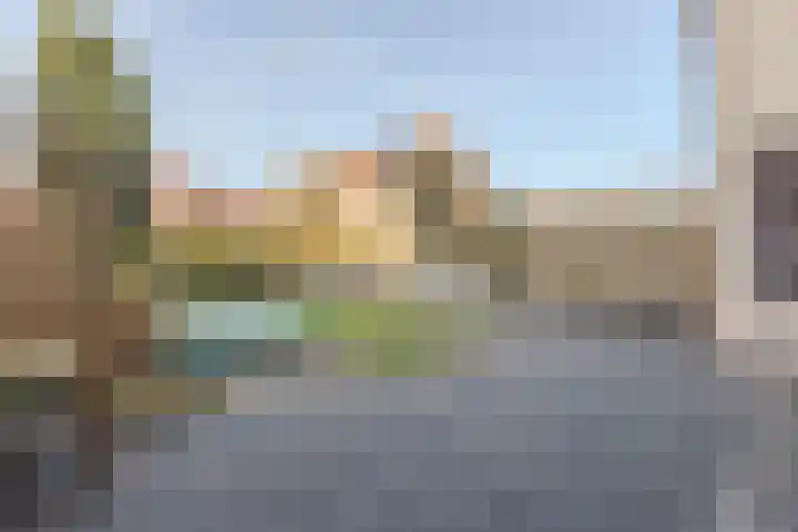Luipaard 7 Heerhugowaard thumbnail 16