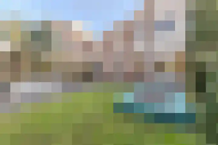 Luipaard 7 Heerhugowaard thumbnail 18