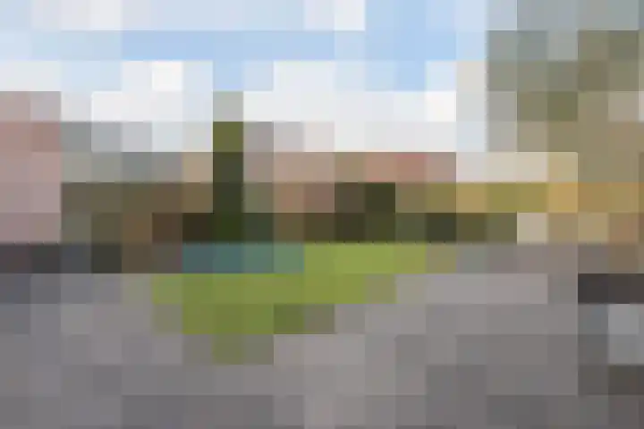 Luipaard 7 Heerhugowaard thumbnail 19