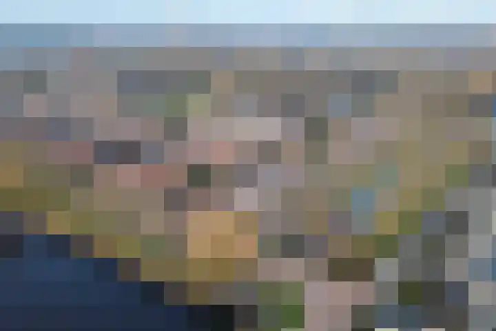 Luipaard 7 Heerhugowaard thumbnail 20