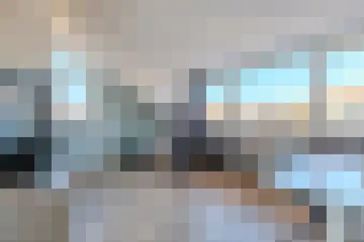 Luipaard 7 Heerhugowaard thumbnail 37