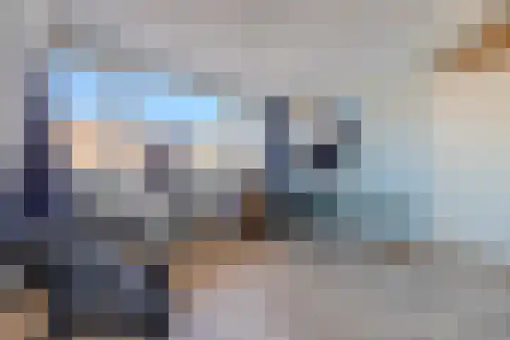 Luipaard 7 Heerhugowaard thumbnail 38