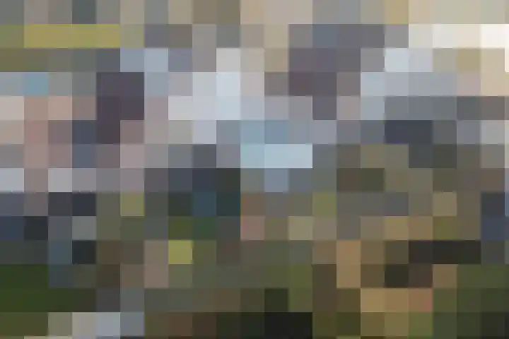 Luipaard 7 Heerhugowaard thumbnail 4
