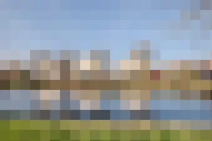 Luipaard 7 Heerhugowaard thumbnail 50