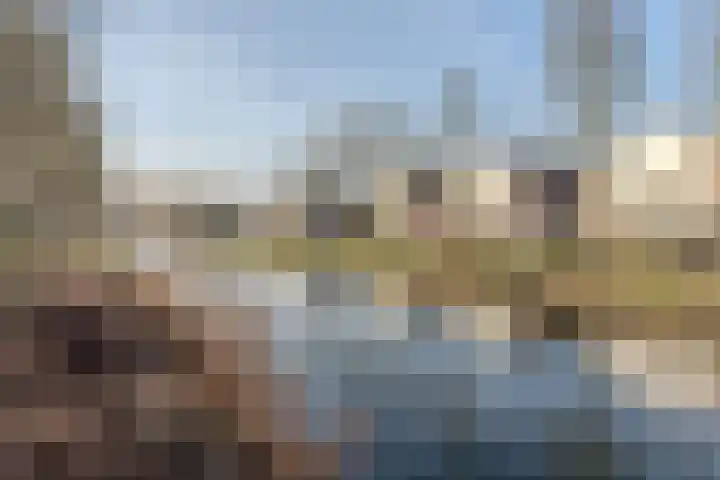 Luipaard 7 Heerhugowaard thumbnail 52