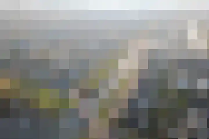 Luipaard 7 Heerhugowaard thumbnail 53