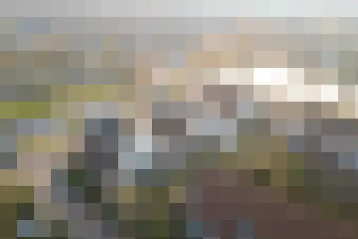 Luipaard 7 Heerhugowaard thumbnail 54
