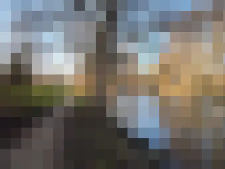 Luipaard 7 Heerhugowaard thumbnail 55