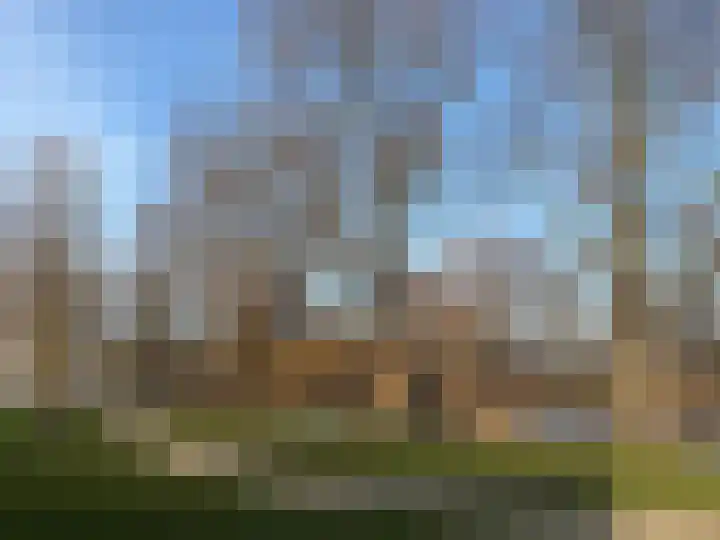 Luipaard 7 Heerhugowaard thumbnail 56