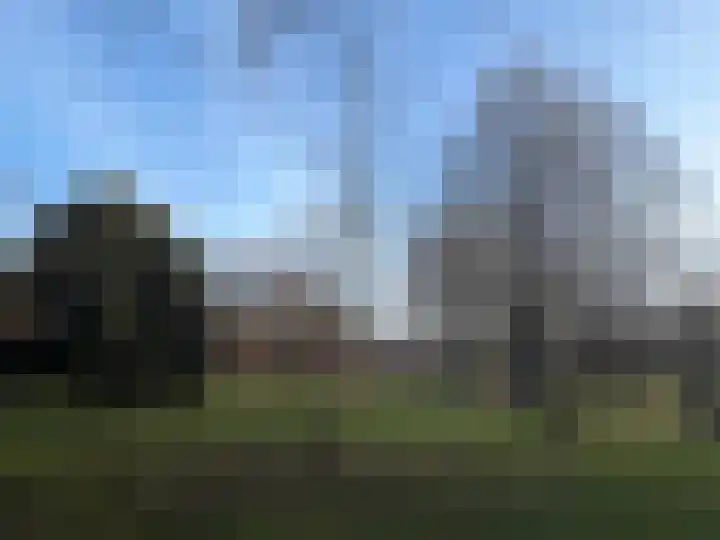Luipaard 7 Heerhugowaard thumbnail 57