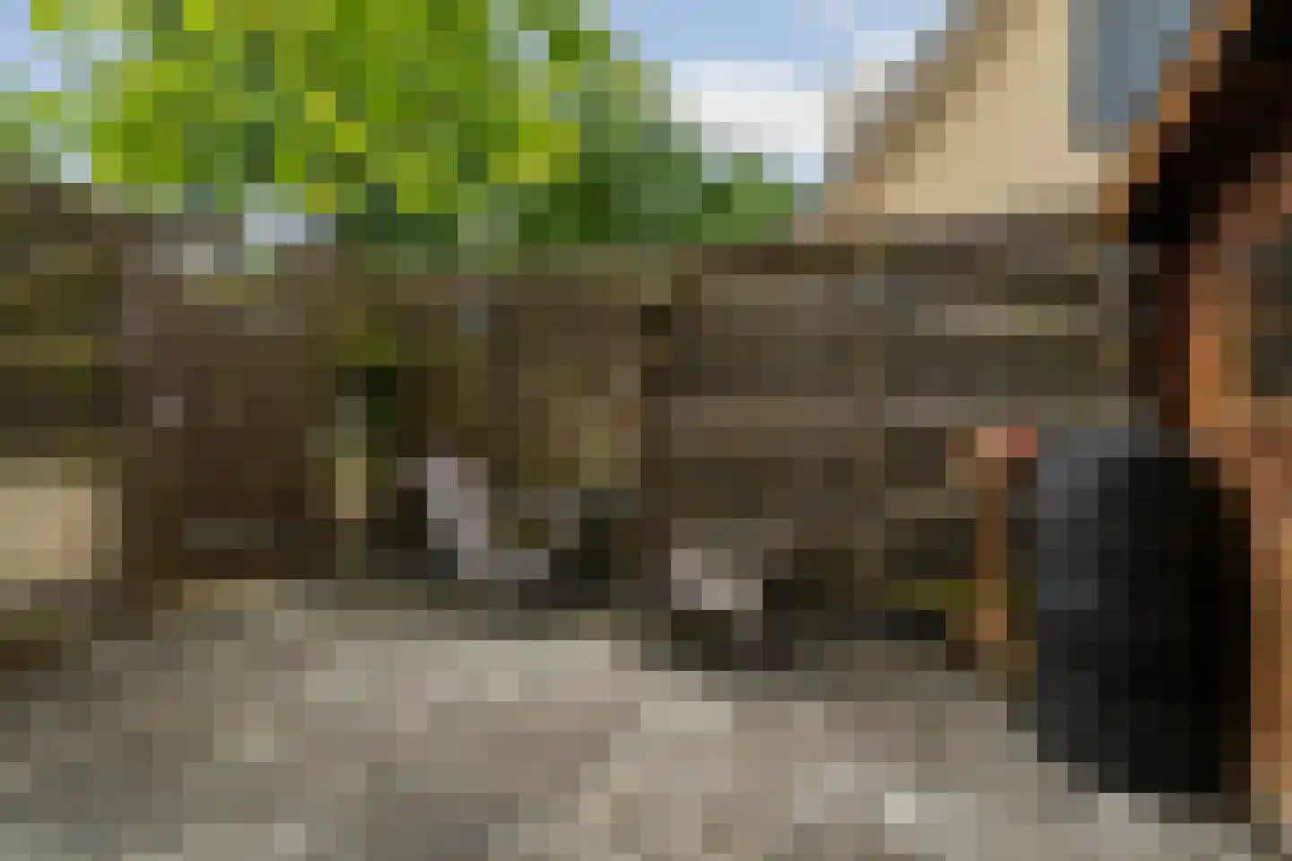 Luipaardweg 14 Almere thumbnail 34