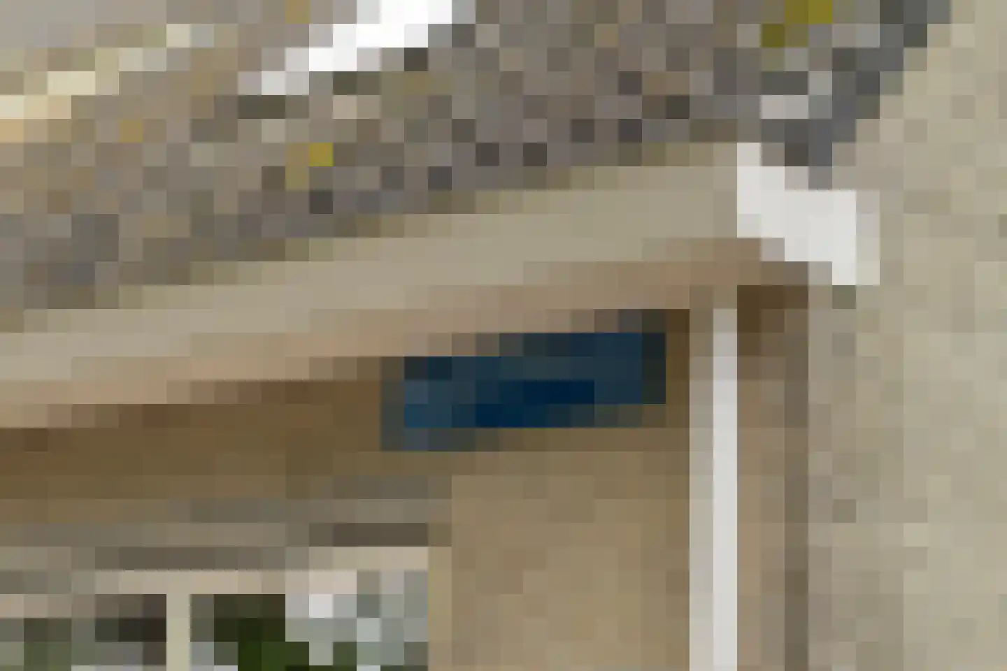 Luipaardweg 14 Almere thumbnail 9