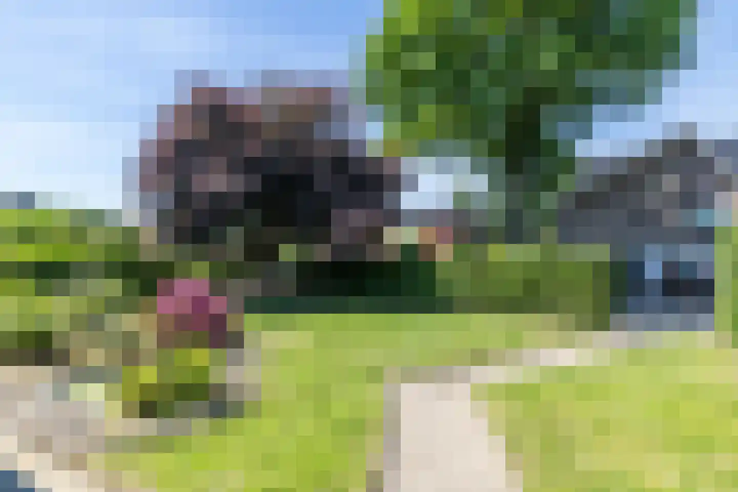Luiperbeekstraat 33 Klimmen thumbnail 23