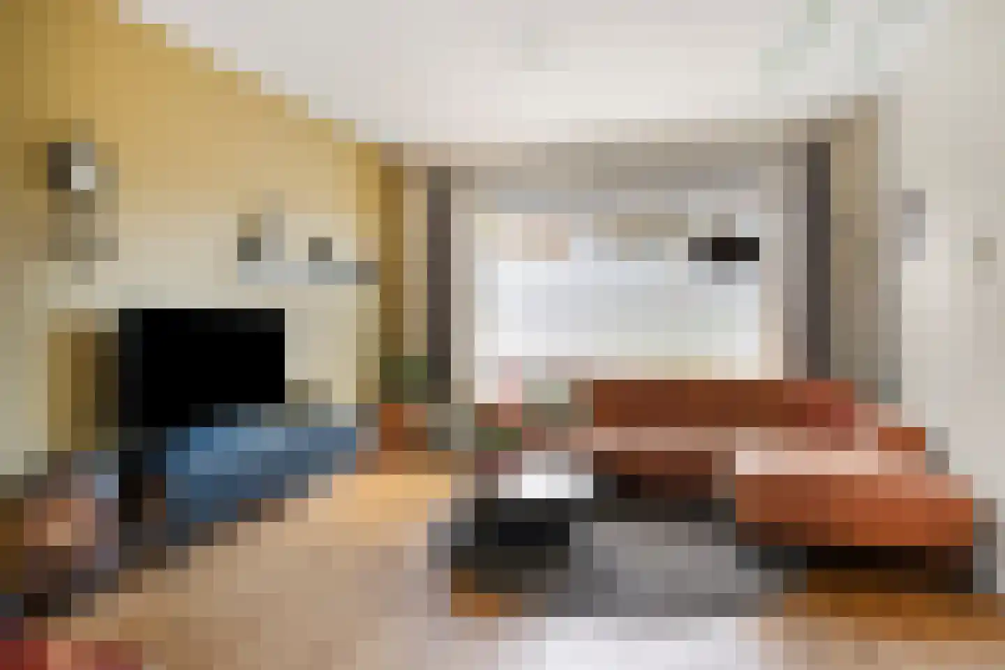 Luipertstraat 12 Moorveld thumbnail 11