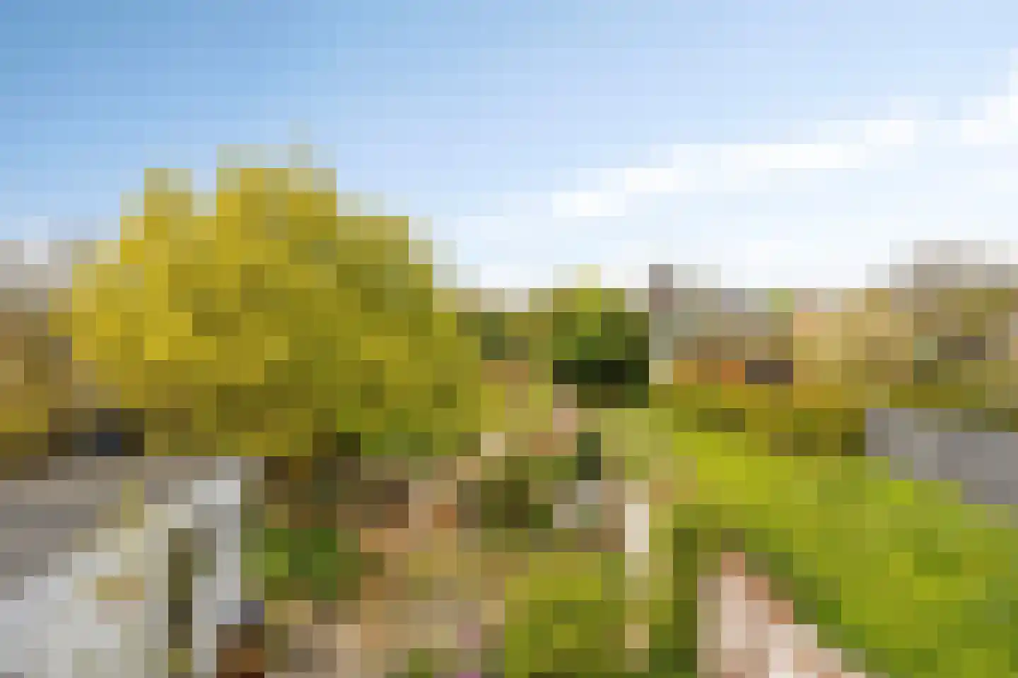 Luipertstraat 12 Moorveld thumbnail 35