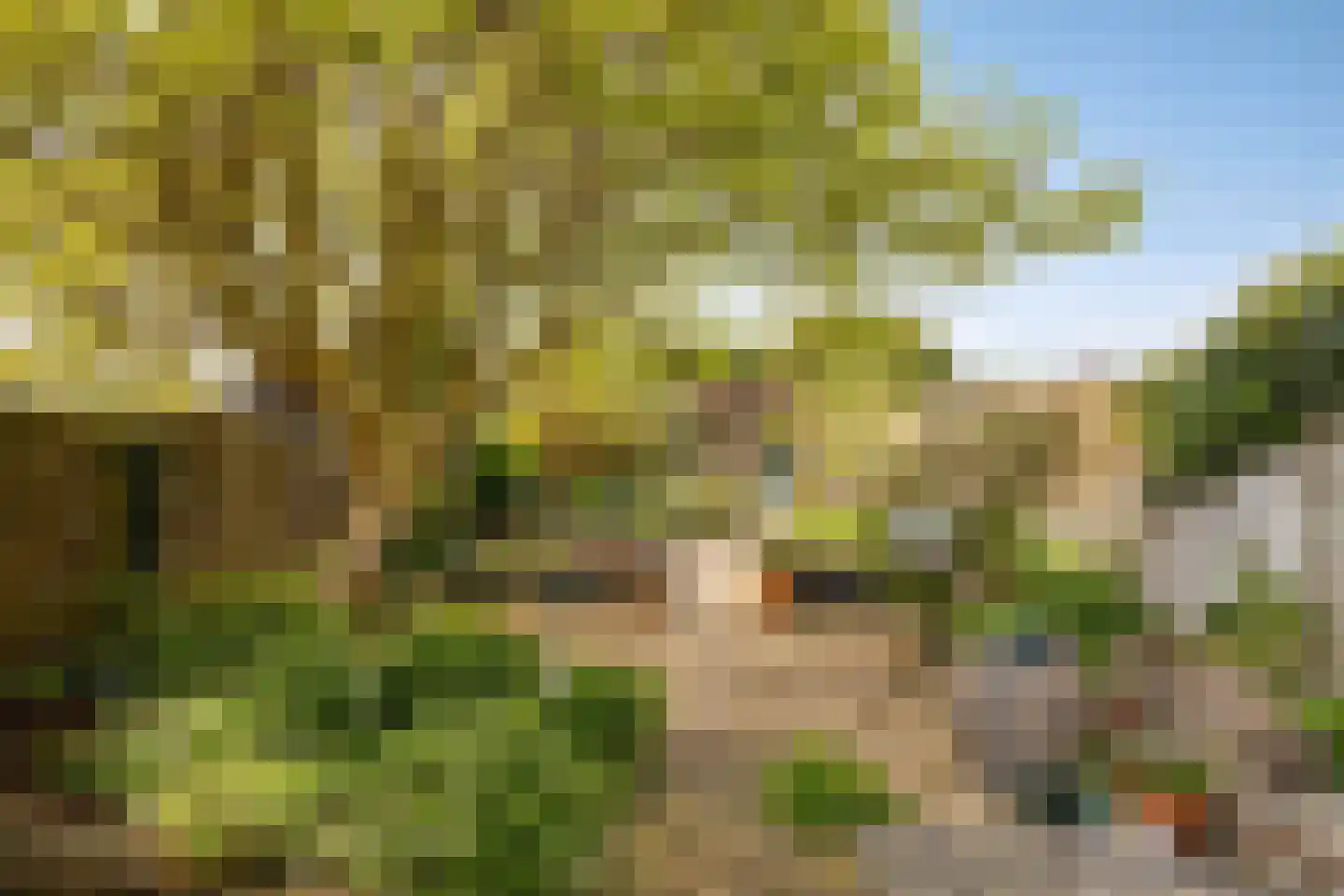 Luipertstraat 12 Moorveld thumbnail 45
