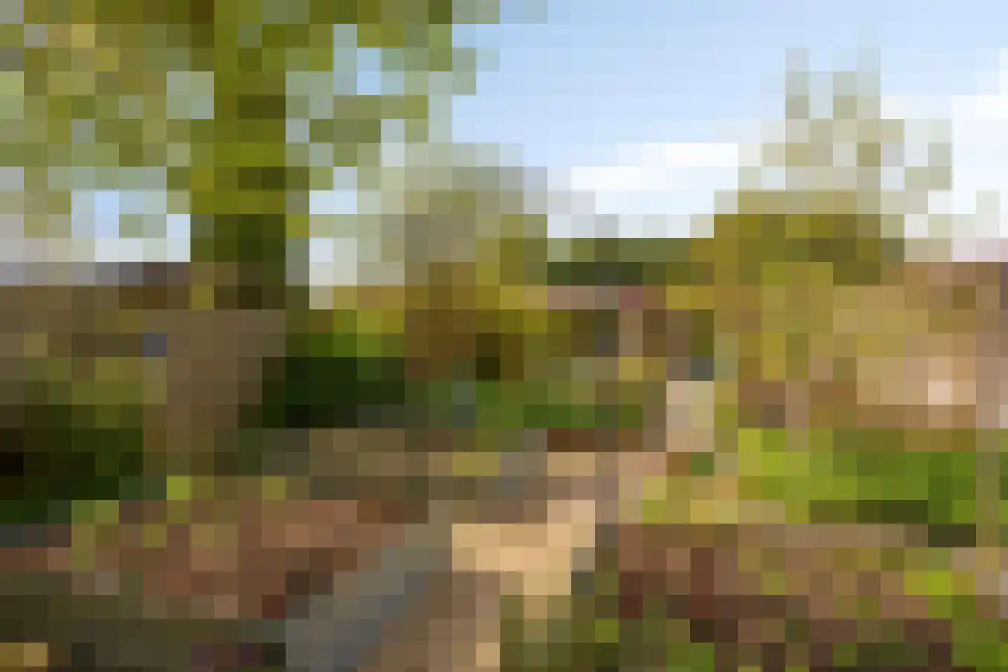 Luipertstraat 12 Moorveld thumbnail 46