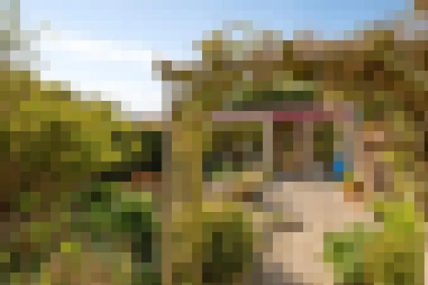 Luipertstraat 12 Moorveld thumbnail 47