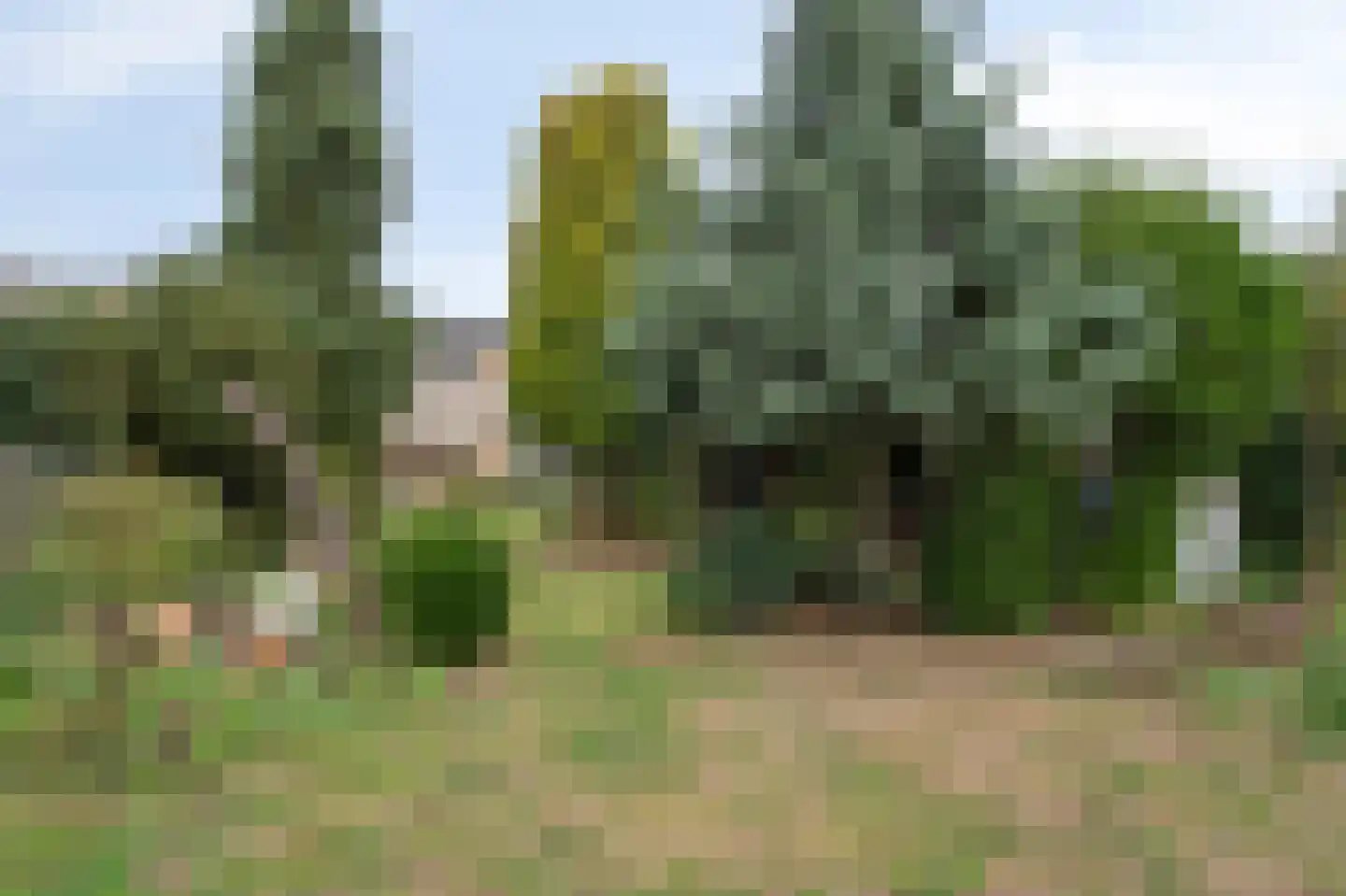 Luipertstraat 15 Moorveld thumbnail 27