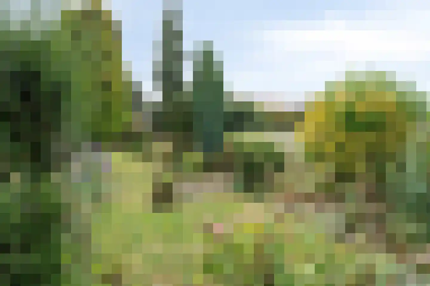 Luipertstraat 15 Moorveld thumbnail 30