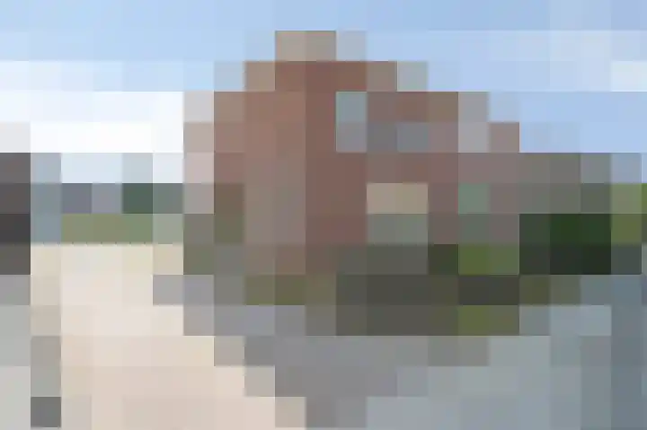 Luipertstraat 19 Moorveld thumbnail 28