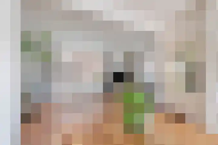 Luipertstraat 19 Moorveld thumbnail 5