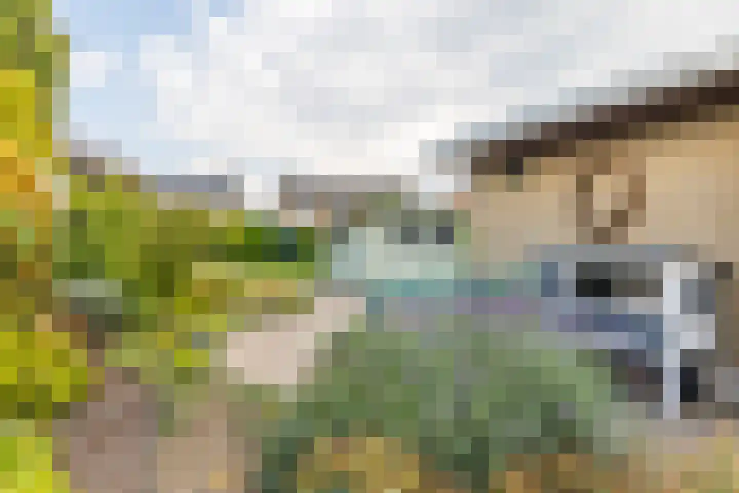 Luipertstraat 25 Moorveld thumbnail 26