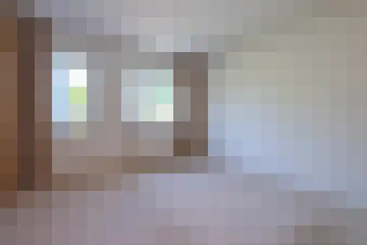 Luissel 11 Boxtel thumbnail 15