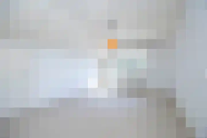 Luissel 11 Boxtel thumbnail 21