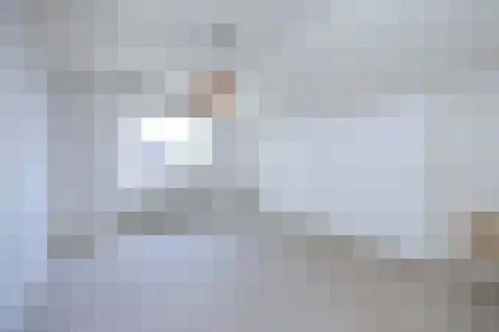Luissel 11 Boxtel thumbnail 22
