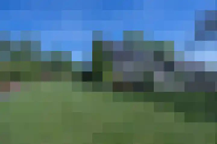 Luissel 11 Boxtel thumbnail 28