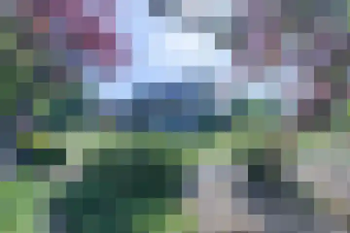 Luissel 11 Boxtel thumbnail 35