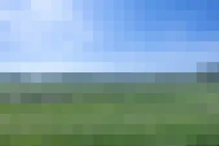 Luissel 11 Boxtel thumbnail 43
