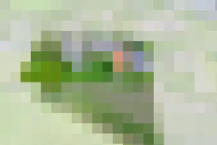 Luissel 11 Boxtel thumbnail 46