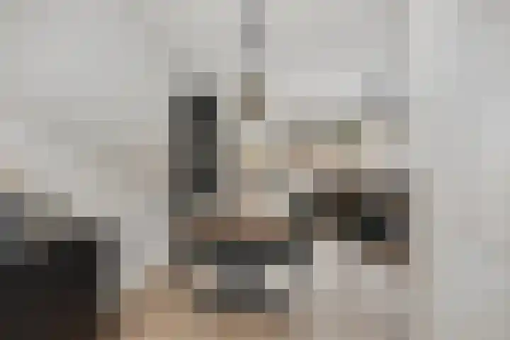Luit 23 Kampen thumbnail 11